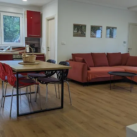 Appartement In An Urban *